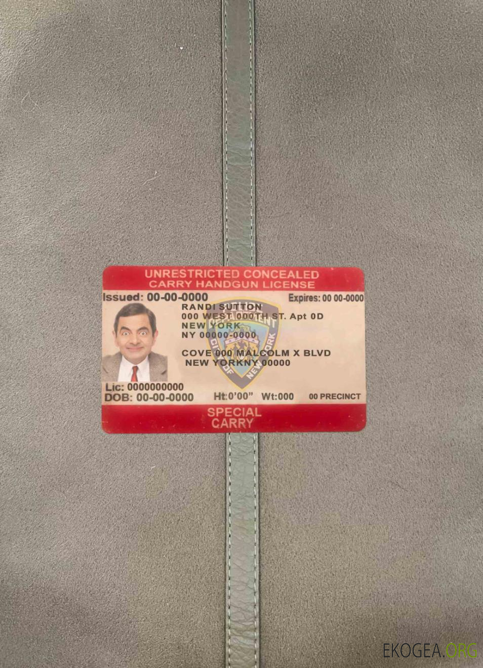 USA New York permis de transport dissimulé sans restriction photolook AVANT